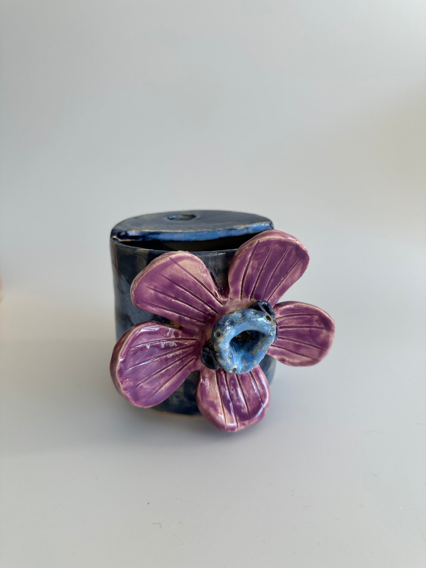Anemone - Freddo Cup