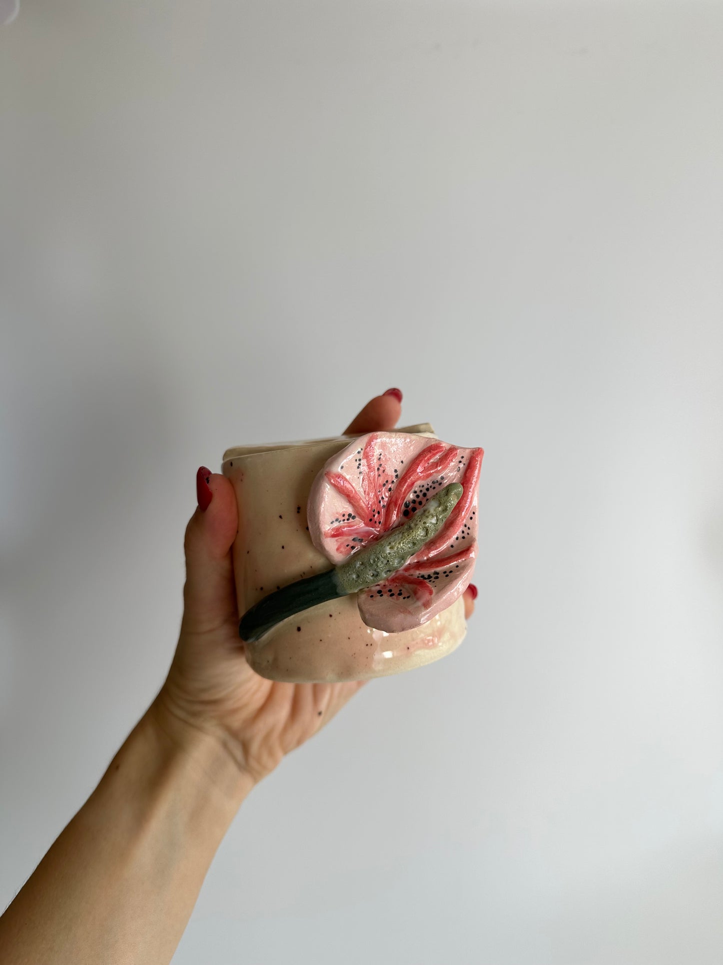 Anthurium - Freddo Cup