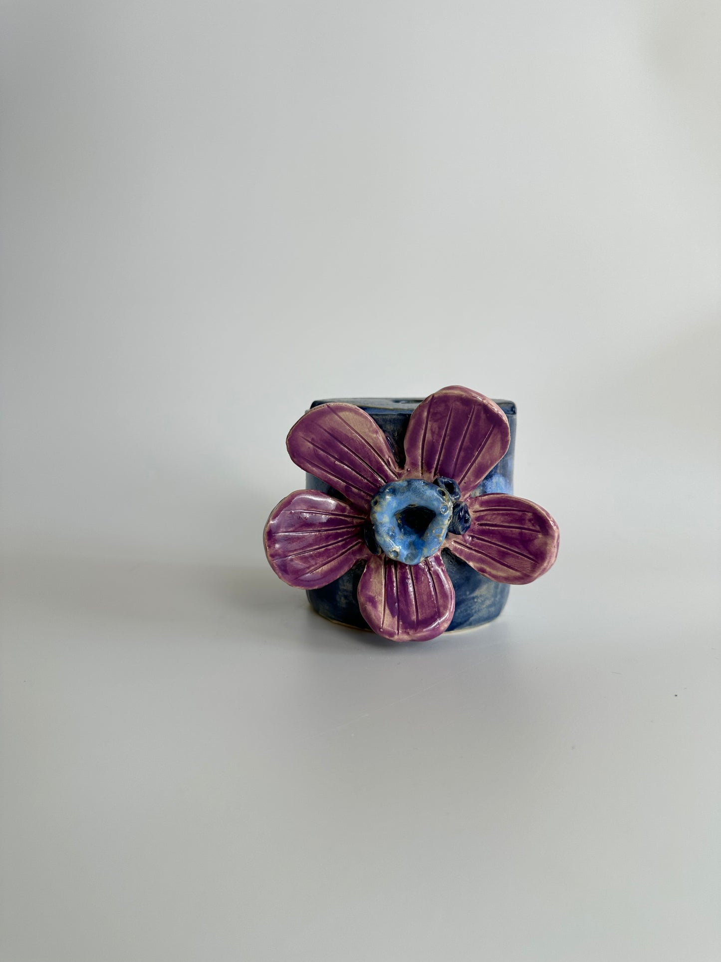Anemone - Freddo Cup