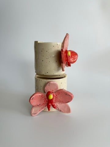 Orchid II - Freddo Cup