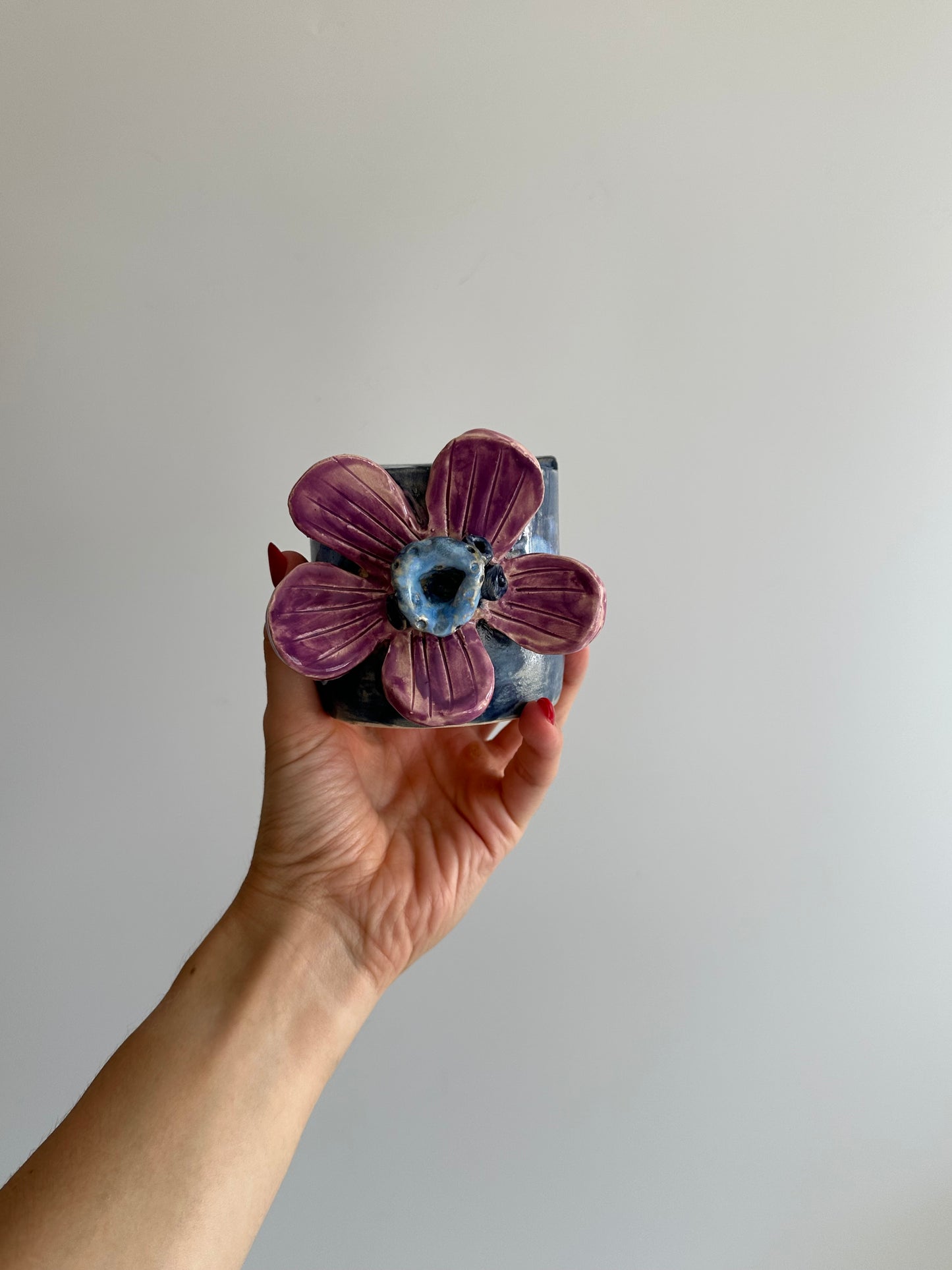 Anemone - Freddo Cup
