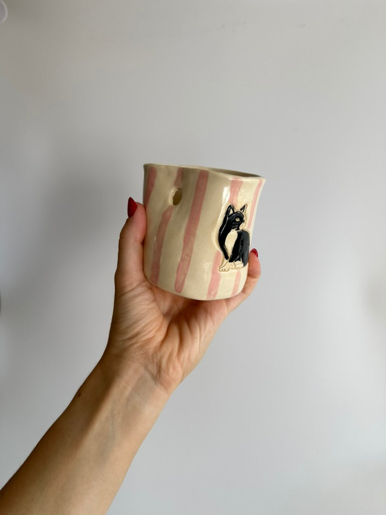 Cats - Freddo Cup