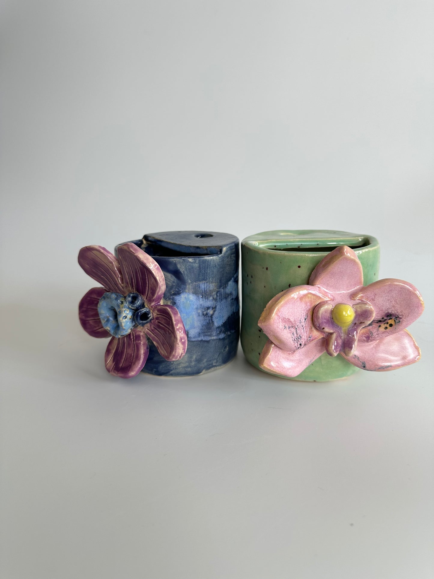 Anemone - Freddo Cup