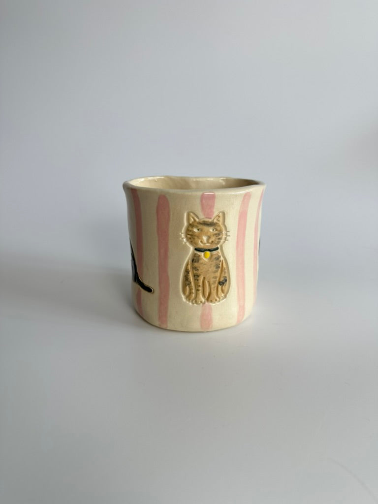 Cats - Freddo Cup