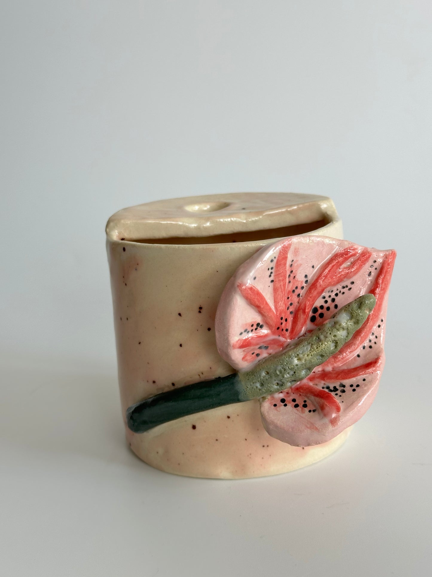 Anthurium - Freddo Cup