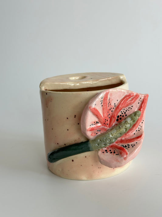 Anthurium - Freddo Cup