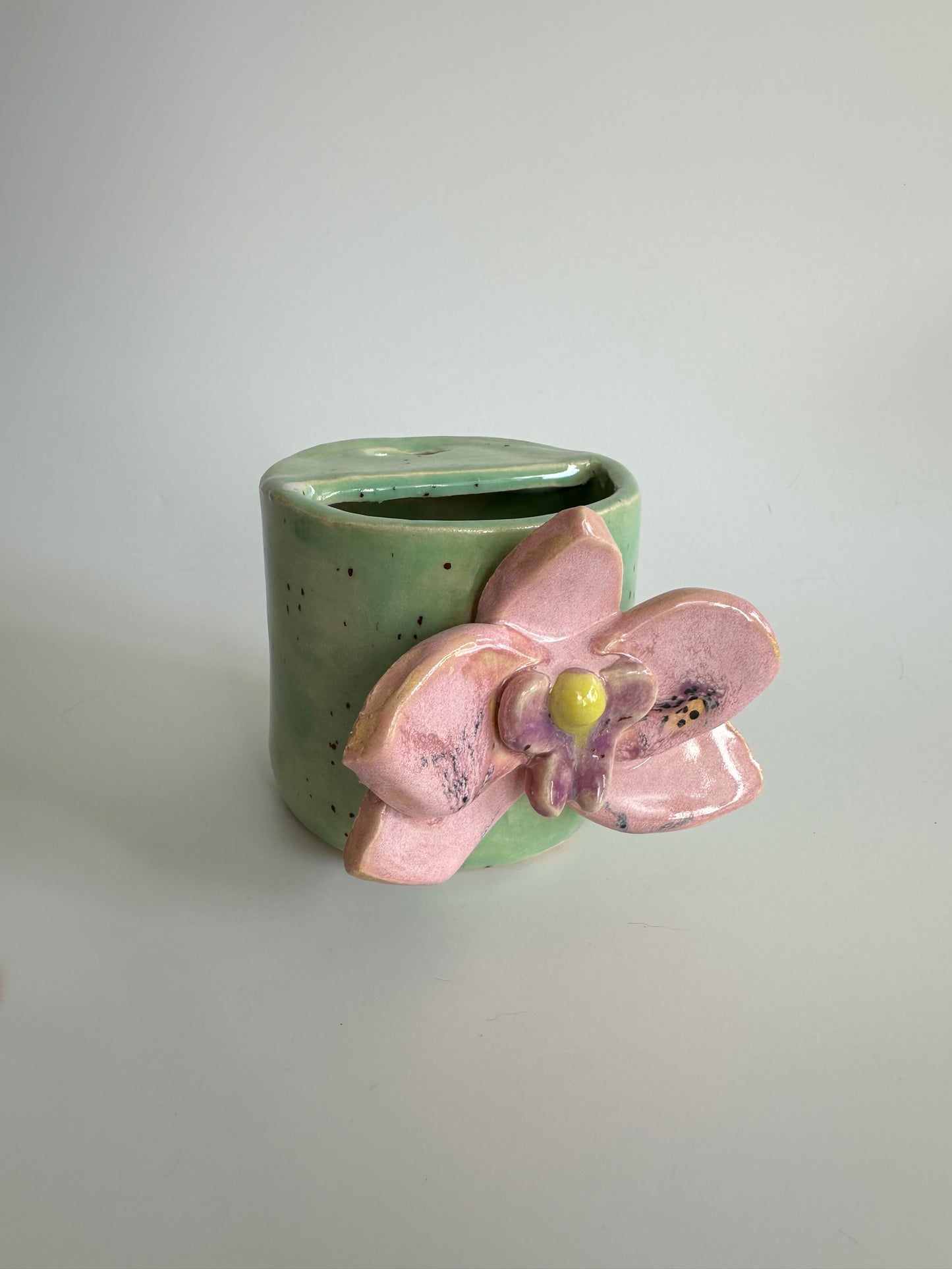 Orchid - Freddo Cup