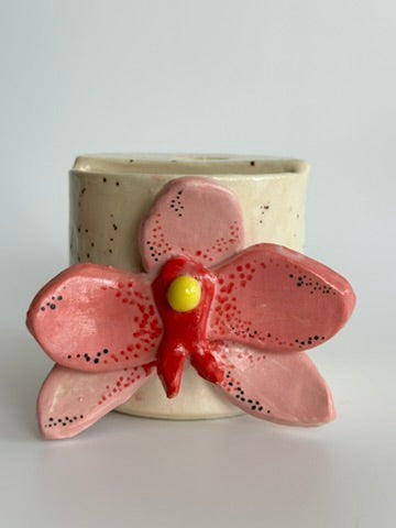 Orchid II - Freddo Cup