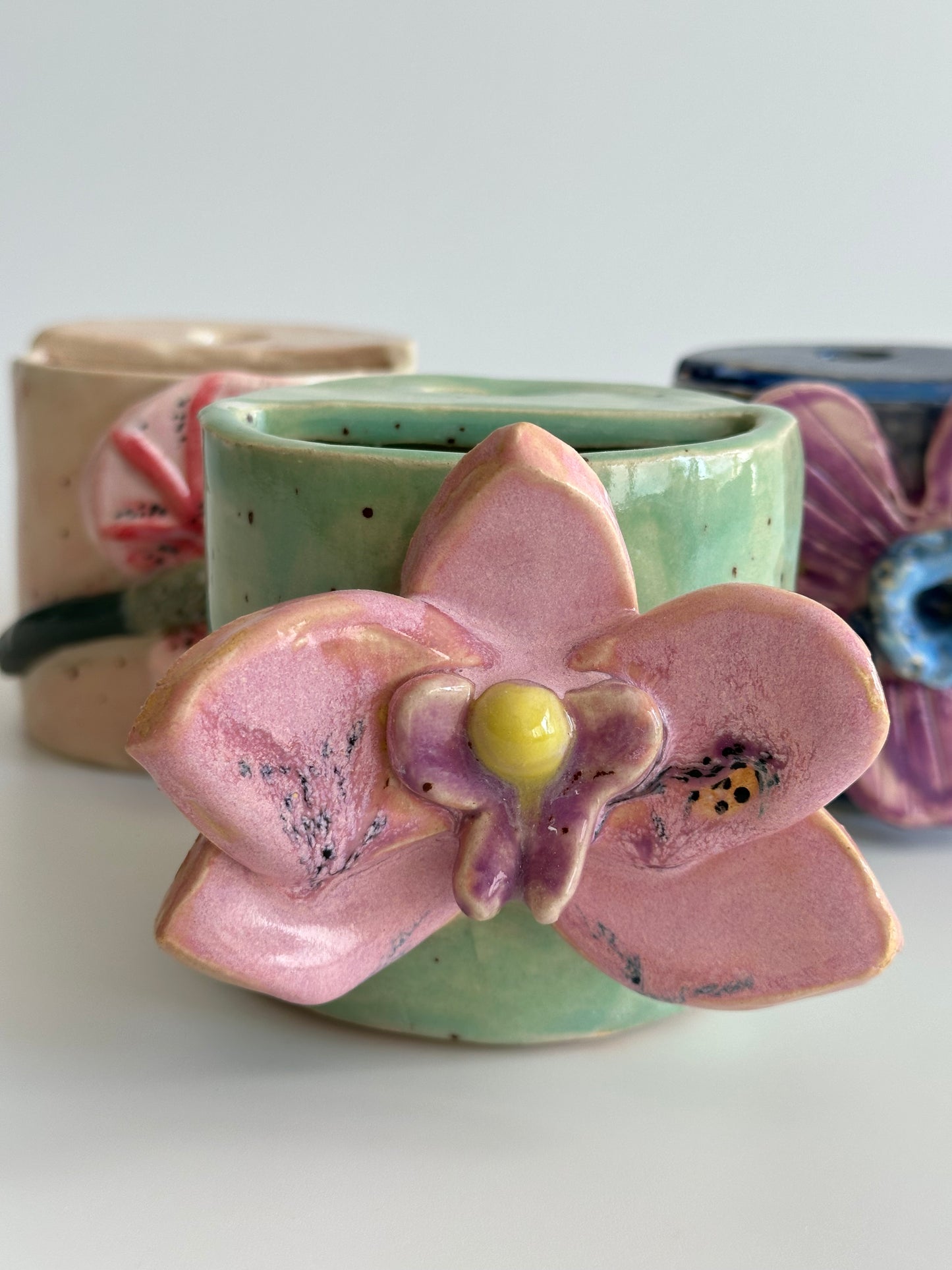 Orchid - Freddo Cup
