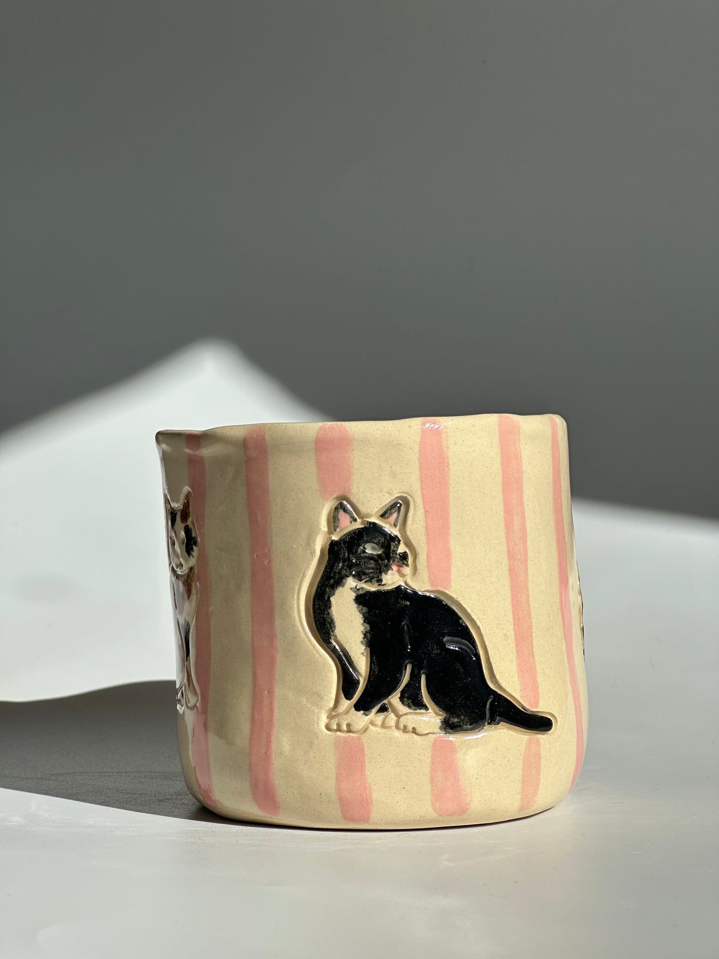 Cats - Freddo Cup